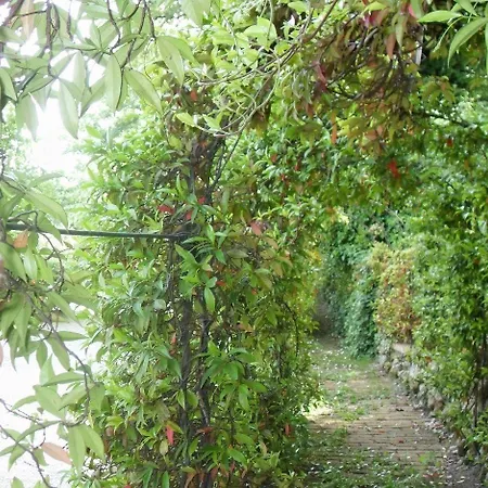 Il Quadrifoglio Alloggio per agriturismo *