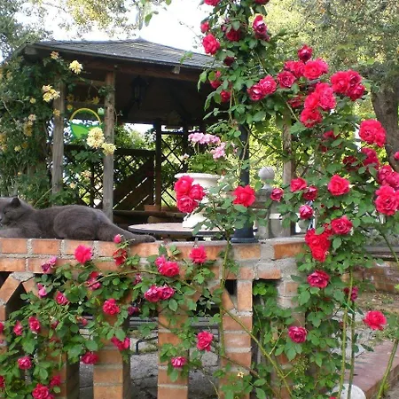 Agriturismo Il Quadrifoglio *