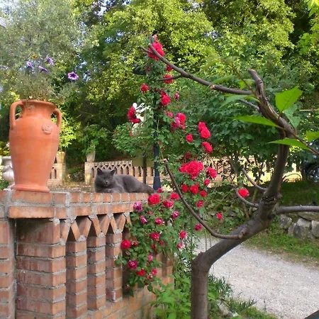 Agriturismo Il Quadrifoglio