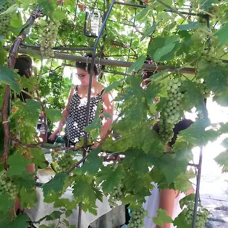 Il Quadrifoglio Alloggio per agriturismo Chieti