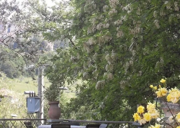 Alloggio per agriturismo Il Quadrifoglio Chieti