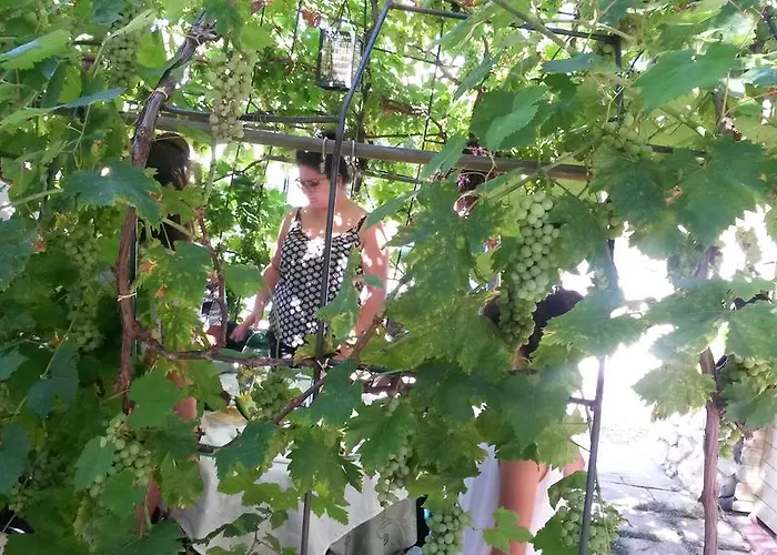 Il Quadrifoglio Séjour à la ferme Chieti